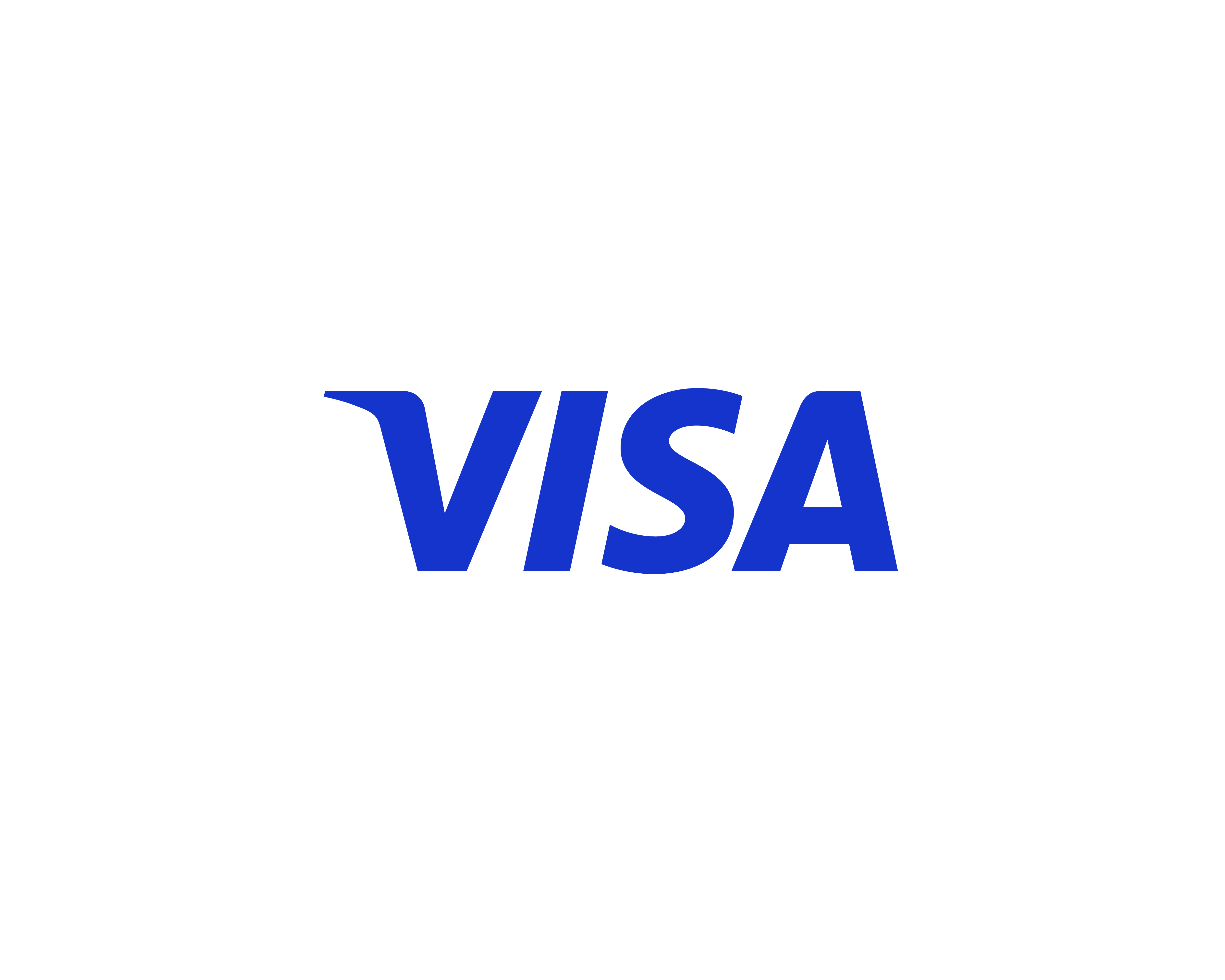 visa-logo